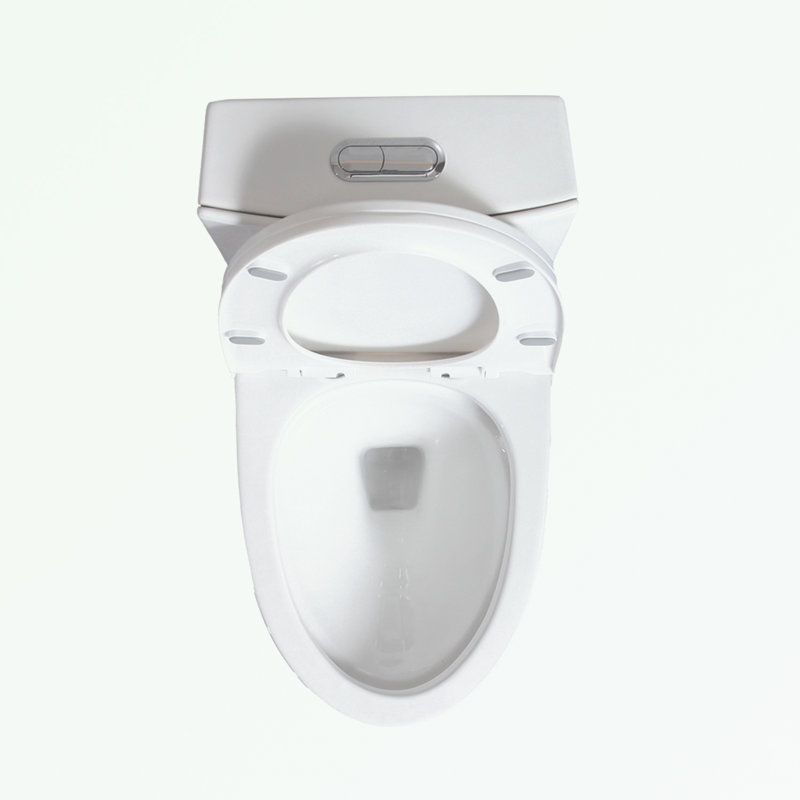 Small Compact One Piece Toilet Dual Flush