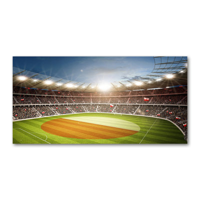 Poland Stadium - Wrapped Canvas Print
