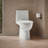 Reach 1.28 GPF Water Efficient Elongated Toilet-107149312