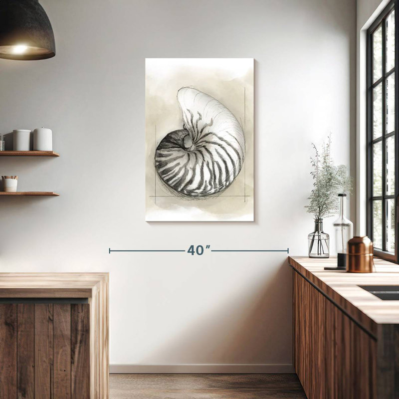Brampt Shell Schematic I, 36" H x 24" W