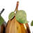 Food & Beverage Figurines & Sculptures-91185791-91185792