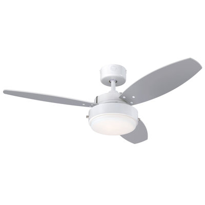 Apaui Ceiling Fan with LED Lights