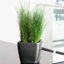 Quadro Premium Pot Planter-16493064-16493067