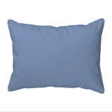 Coastal Indoor/Outdoor Throw Pillow