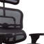 Ergonomic Task Chair