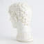 Buste d'Hadrien - glacis blanc