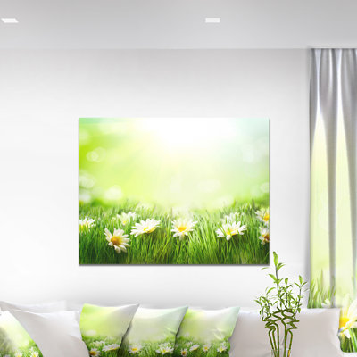 «Spring Meadow with Daisies», reproduction de photo sur toile