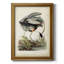 Great Blue Heron - Toile encadrée de qualité supérieure - prête à être accrochée-1282438007