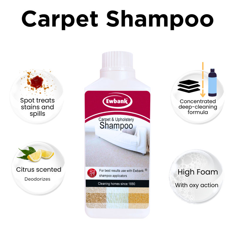 Ensemble de nettoyage de tapis - shampooing compact, brosse à revêtement et solution