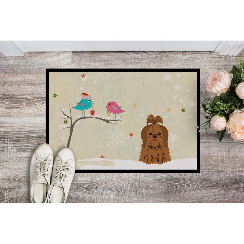 Tapis d'extérieur antidérapant Cih, Rectangle 2 pi x 3 pi, Chocolat