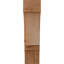 Genouillère Balboa-31229018-31228637-29309786