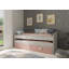 Rayo European Single (90 X 200 Cm) Daybed with Storage Included with Trundle Included-1388197041-1388197042