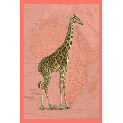African Animals on Coral I 1 Piece Painting on Canvas