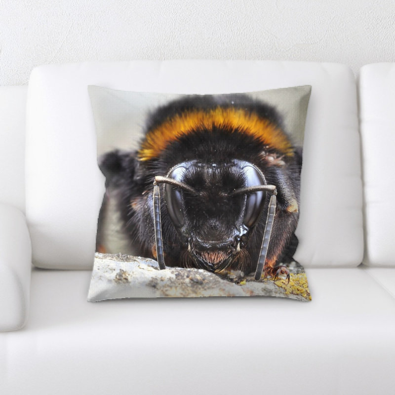 Coussin hummel