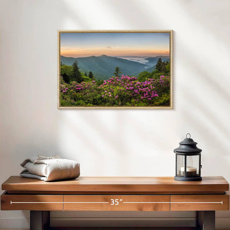 Blue Ridge Mountains View, 19 po x 13 po, Cadre flottant en bois naturel