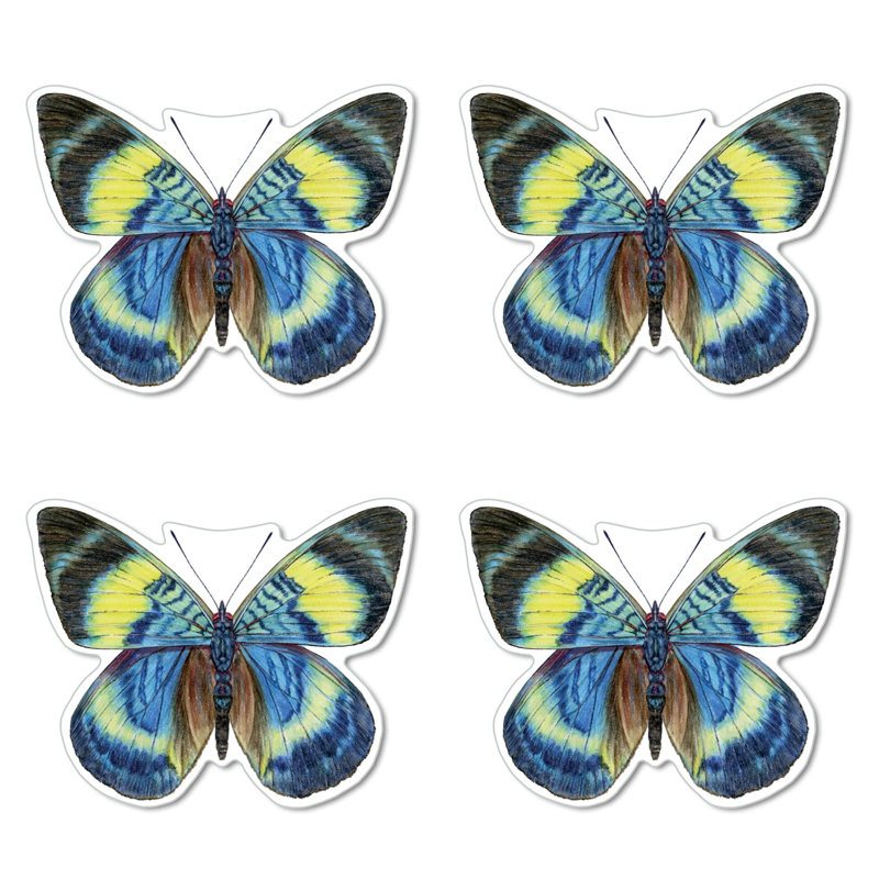 No Pattern Novelty Placemat