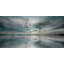 " Birds Skylight " by Parvez Taj-1760413150