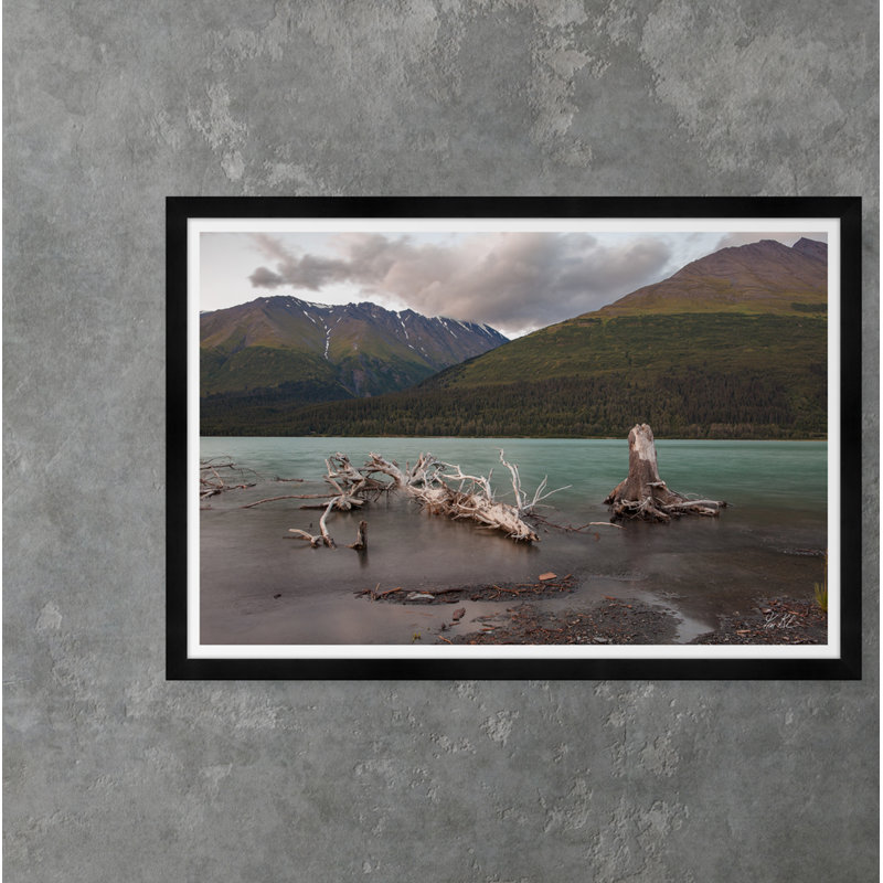 Moonlight Driftwood Ii Print