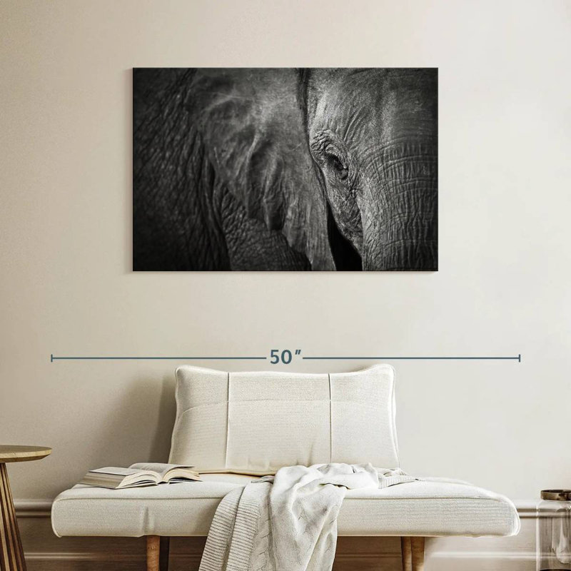 Oeil d'éléphant Brampt, H 26 po x l 39 po