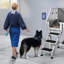 48.03'' Stainless Steel Dog Grooming Tub-93738020