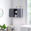Brittain Metal Mounting / Installation Required Bathroom Cabinet