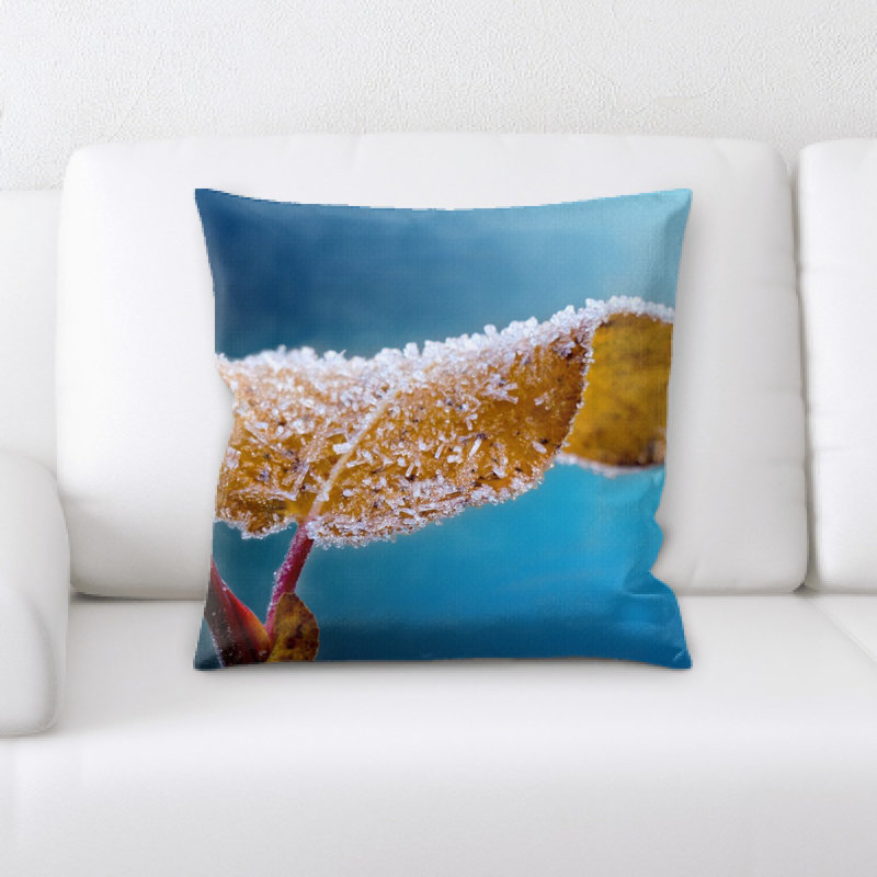 Coussin en jeté dépoli