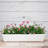 Plastic Planter Box-494974162-494974161