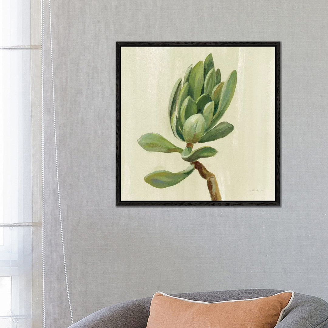 Front Yard Succulent III von Silvia Vassileva - Galerie-verpackte Leinwand Giclée auf Leinwand