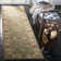 Taylor Hand Tufted Wool Oriental Rug