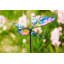 Jeu de jardin Shiffer