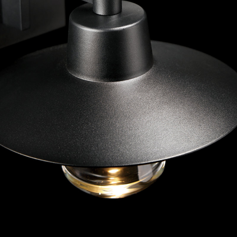 Black Mouth Blown Glass Dimmable LED Outdoor Wall Lantern