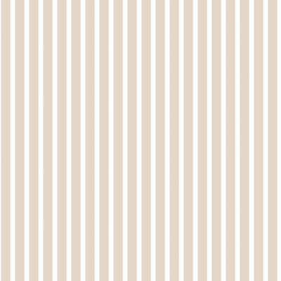 Ayden 10m x 53cm Matte Wallpaper Roll