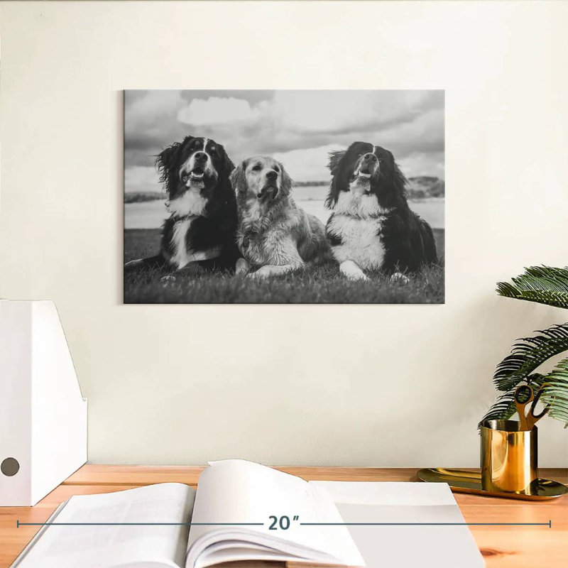 Brampt Bernese Mountain Dogs, 8" H x 12" W