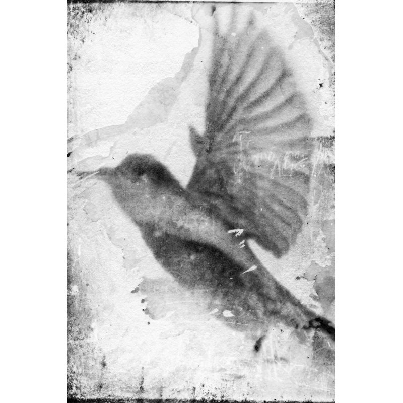 Flight II -  Painting, 76 cm H x 51 cm W, Black Floater Frame