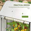 Norene 100cm W x 80cm D Mini Greenhouse