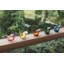 Birds by Toikka Figurine-79074747