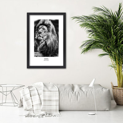 African Lions, Animals - Single Picture Frame Print