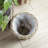 Swanhilda Basket Planters