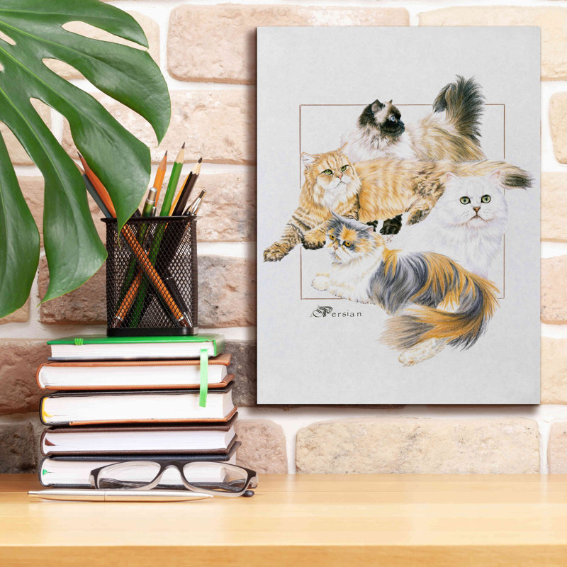 'Persian' by Barbara Keith, Canvas Wall Art