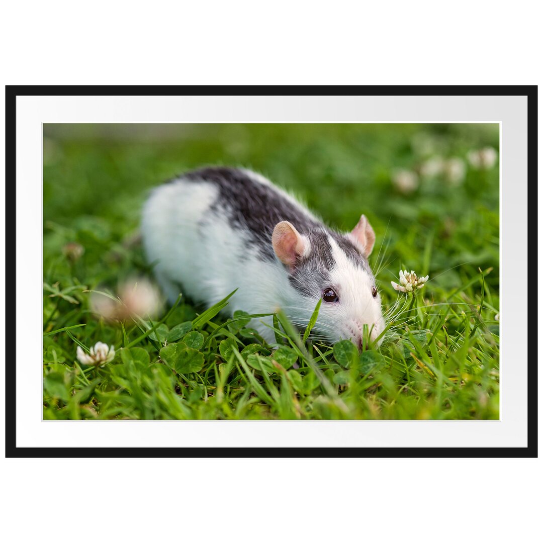 Gerahmtes Poster Kleine Maus auf Blumenwiese