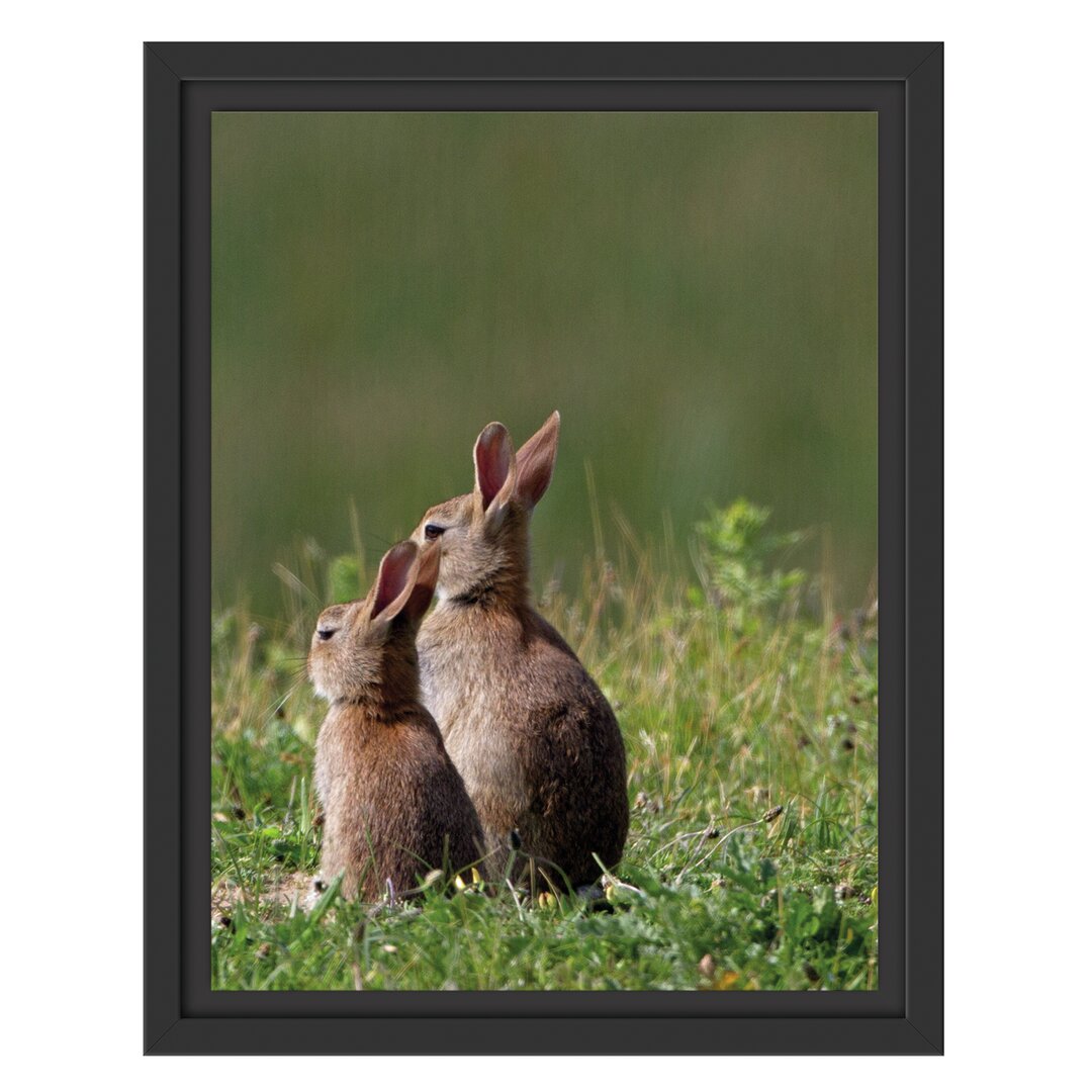 Gerahmtes Wandbild zwei Häschen auf Frühlingswiese