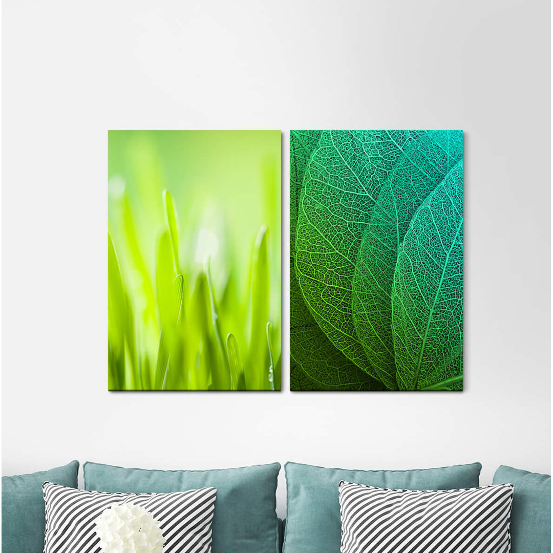 2-tlg. Leinwandbilder-Set - Fotografie „Grass Blades of Grass Leaves Plants Spring Green”