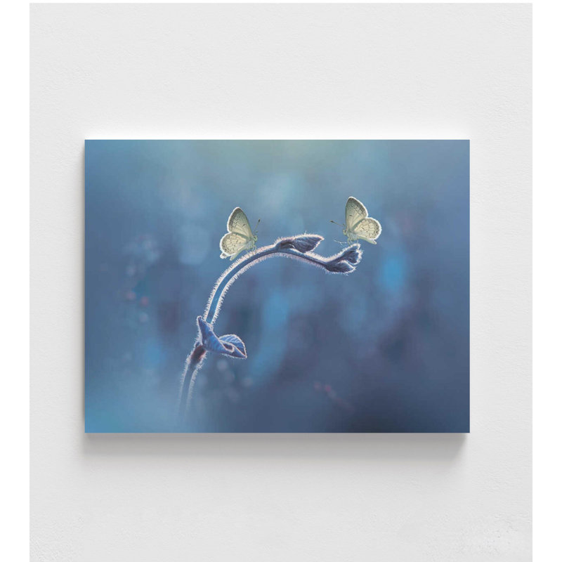 Deux papillons bleus - art mural prêt à accrocher avec cadre, H 24 po x l 32 po, Impression sans cadre, Does Not Apply