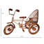 15 In Open Air Rickshaw - Silver-1009701970