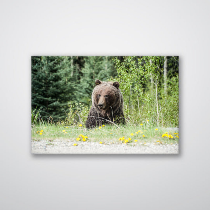 Roadside Bear Print Wall Art - Wildlife Bear Scenic Poster - Forest Nature Animal Artwork - Rustic Cabin Lodge Home Decor - Outdoor Adventure Wall Print - Minimalist Nature Illustration - Woodland Animal Gift