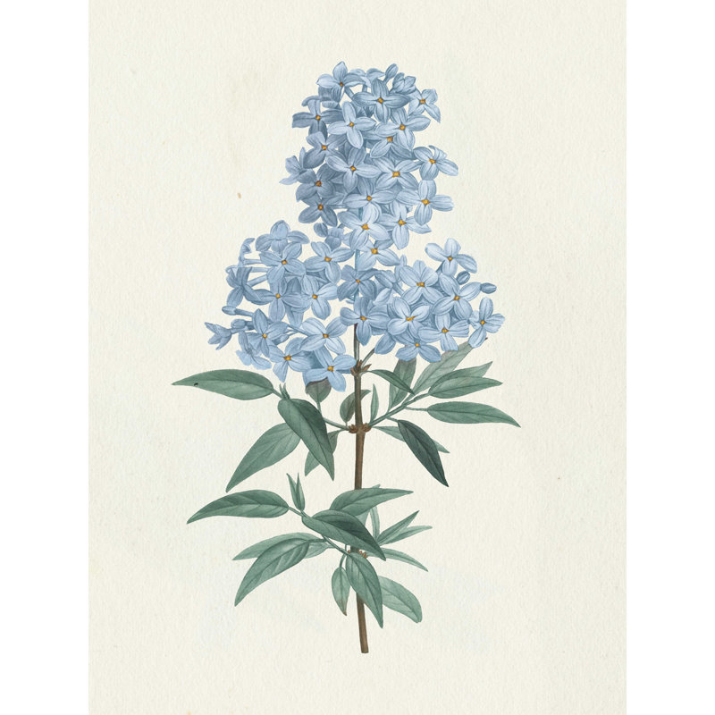 Victorian Garden Flowers III - bleu, H 24 po x l 18 po