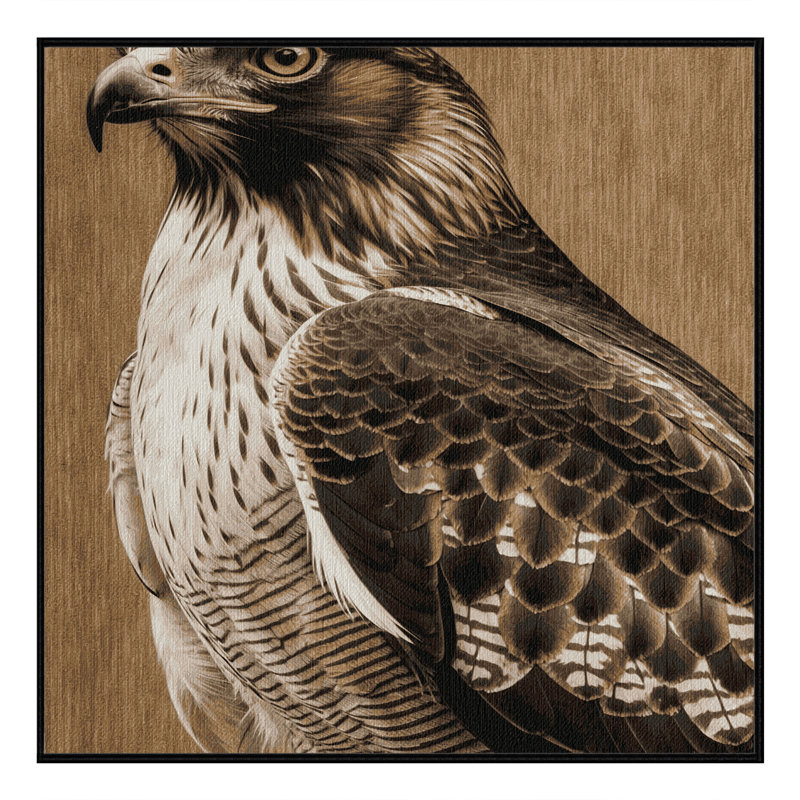 Washable Northern Goshawk Birds Area Rug, Rectangle 7' x 10'