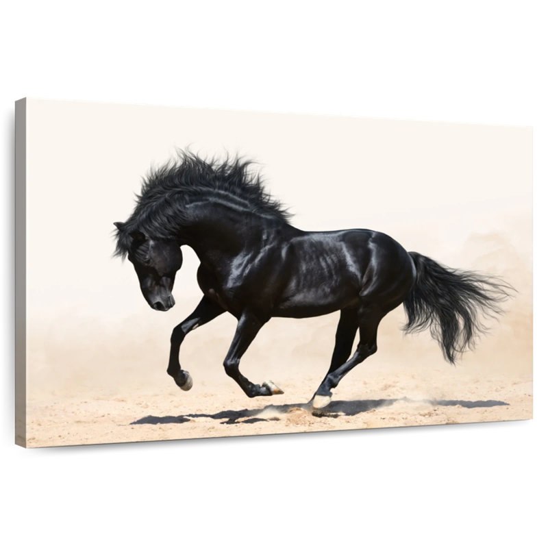 Black Stallion, 8" H x 12" W