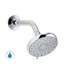 Awaken Multifunction Fixed Shower Head-1391152505