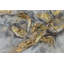 Acrylbild Silver Miracle